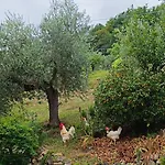 Casa Contadina Nel Ai Piedi Della Majella - Agricasa Caprafico *