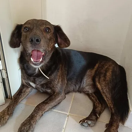 Casa Contadina Nel Ai Piedi Della Majella - Agricasa Caprafico