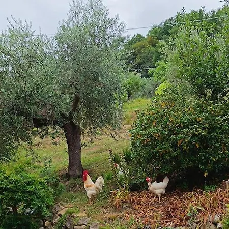 Casa Di Campagna, Pace E Natura, Sotto La Maiella - Agricasa Caprafico *
