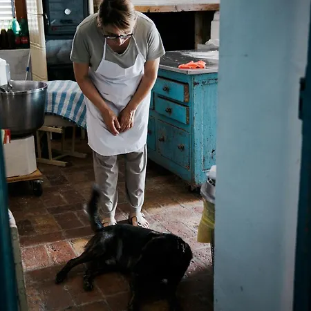 Casa Contadina Nel Ai Piedi Della Majella - Agricasa Caprafico Casoli (Abruzzo)