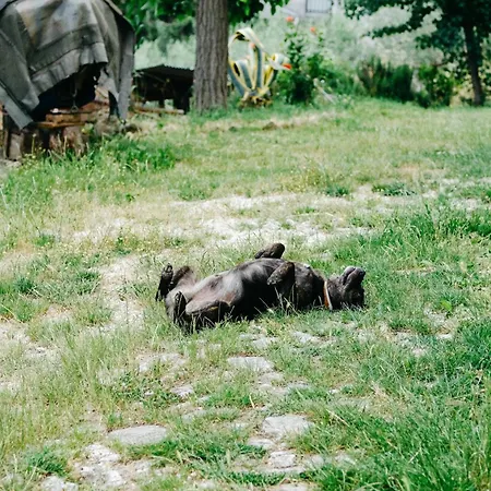 Casa Contadina Nel Ai Piedi Della Majella - Agricasa Caprafico Alloggio in famiglia