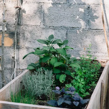 Casa Contadina Nel Ai Piedi Della Majella - Agricasa Caprafico Alloggio in famiglia Casoli (Abruzzo)