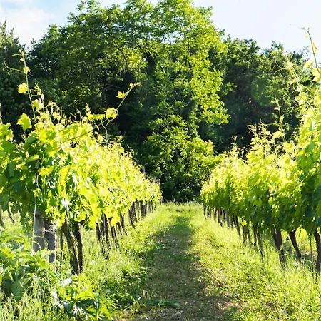 Casa Contadina Nel Ai Piedi Della Majella - Agricasa Caprafico * Casoli (Abruzzo)