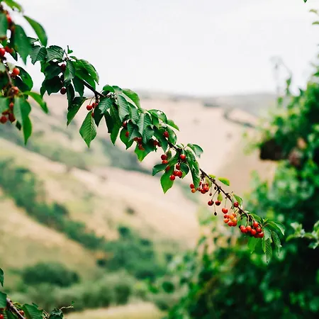 Casa Contadina Nel Ai Piedi Della Majella - Agricasa Caprafico