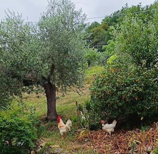 Casa Contadina Nel Ai Piedi Della Majella - Agricasa Caprafico *